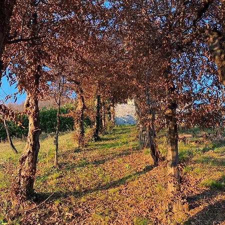 Bed & Breakfast Le Lanterne