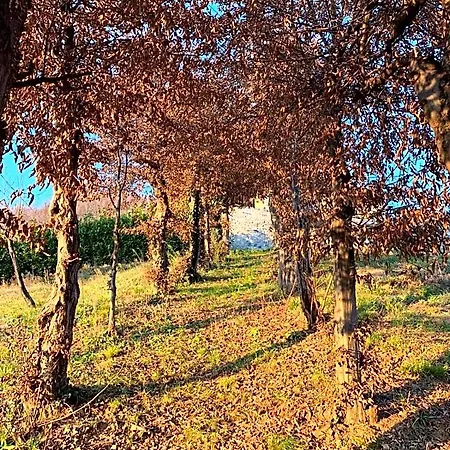 Nocleg ze śniadaniem Le Lanterne Villa dʼAlmè