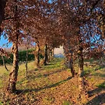 Bed & Breakfast Le Lanterne